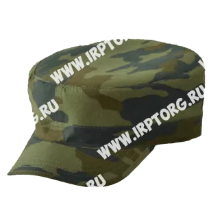 MvAtqC0000I wDQ 324x324 - Барс Кепка флора (Оригинал)